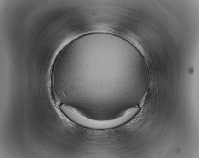 X0000098181144200805151134