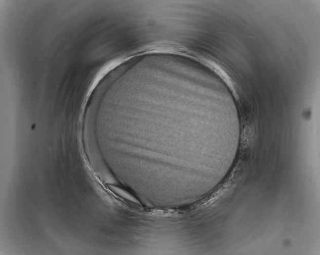 X0000098181146200805151134