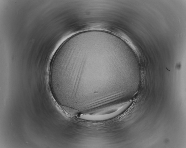 X0000098181148200805151134