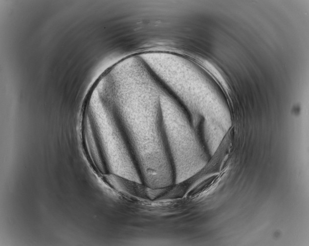 X0000098181149200805151134