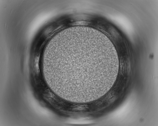 X0000098181150200805151134