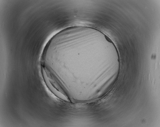 X0000098181152200805151134