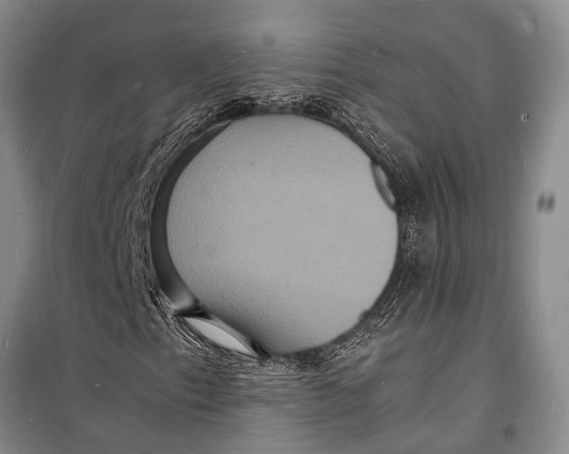 X0000098181153200805151134