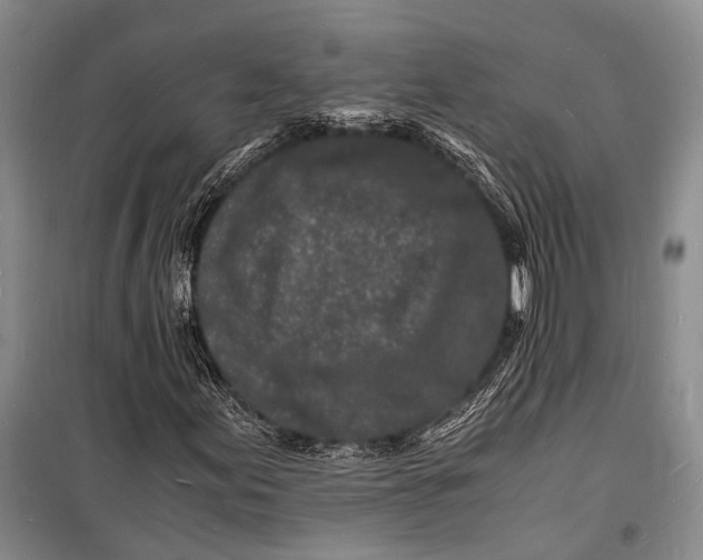 X0000098181155200805151134