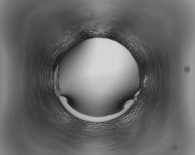 X0000098181156200805151134