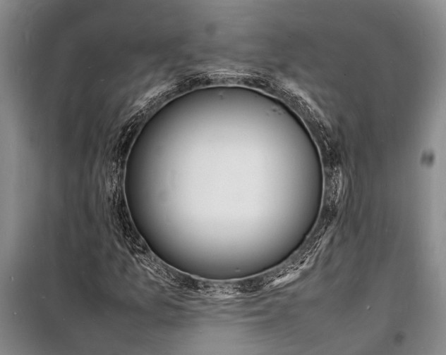 X0000098181157200805151134