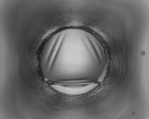 X0000098181160200805151133