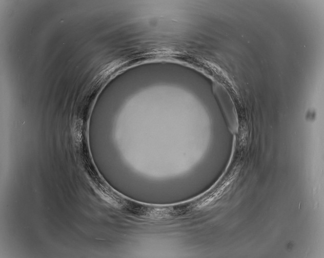 X0000098181161200805151133