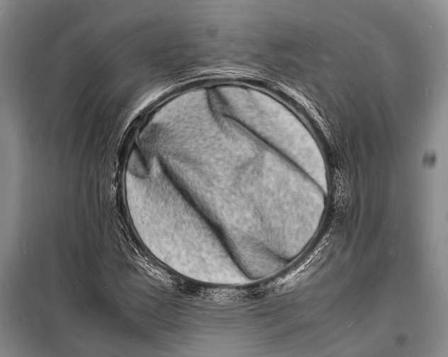 X0000098181163200805151133