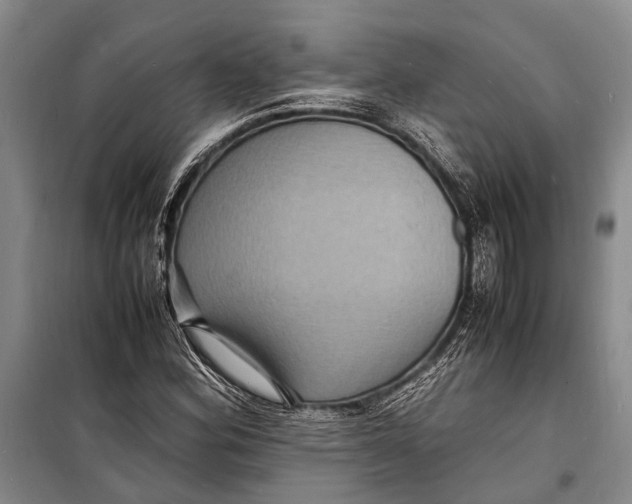 X0000098181164200805151133