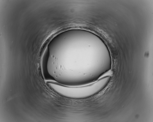 X0000098181165200805151133