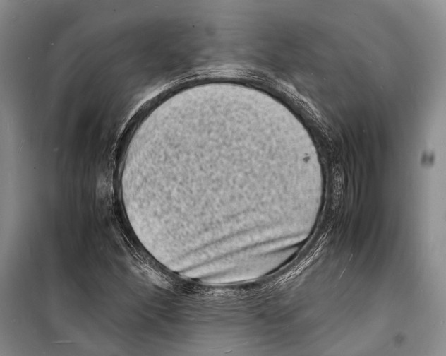 X0000098181166200805151133