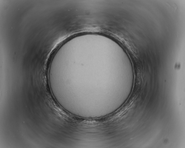 X0000098181168200805151133