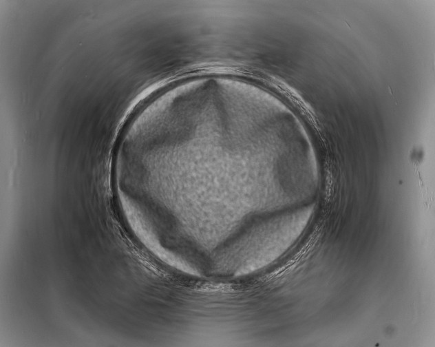 X0000098181174200805151133