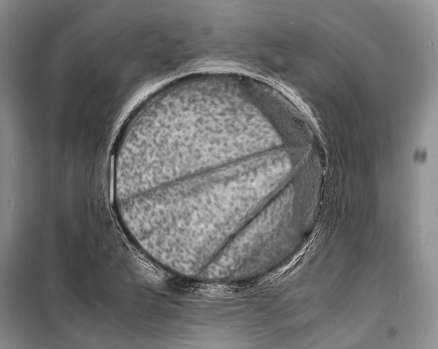 X0000098181175200805151133