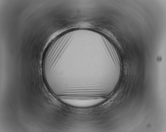 X0000098181176200805151133