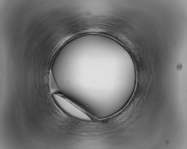 X0000098181177200805151133