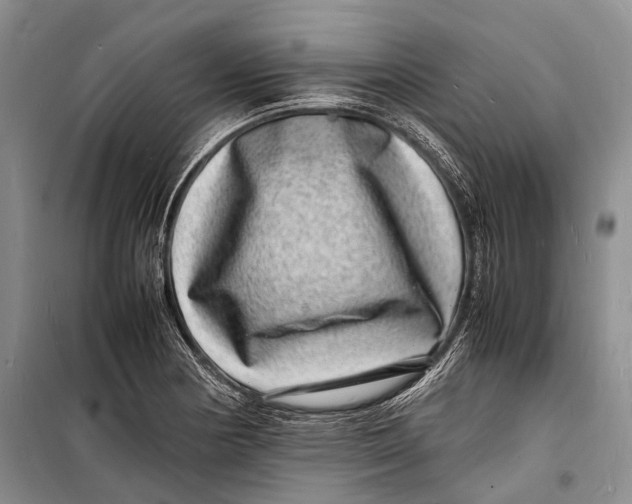 X0000098181178200805151133