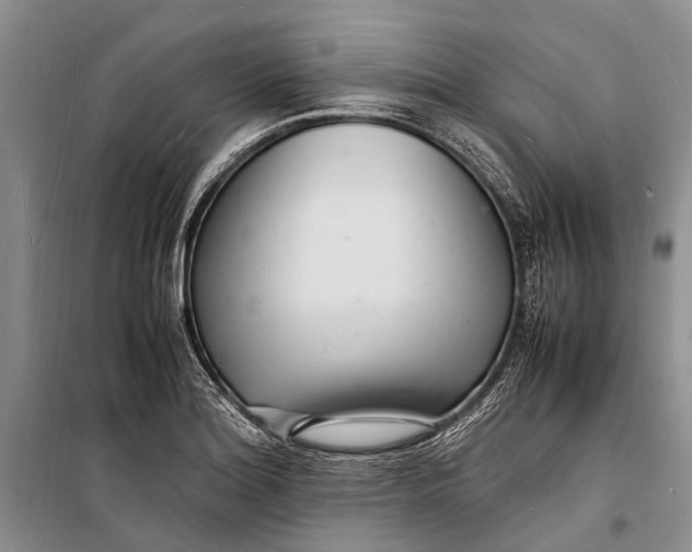 X0000098181180200805151133