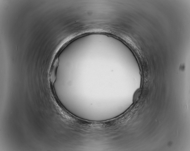 X0000098181181200805151133