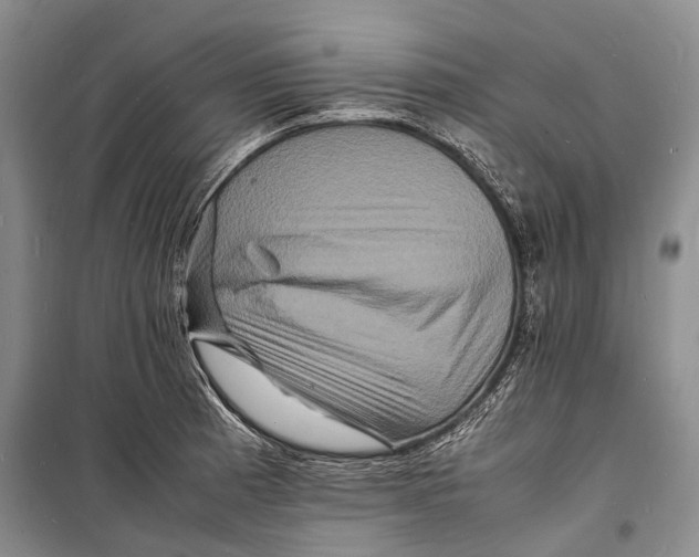 X0000098181185200805151133