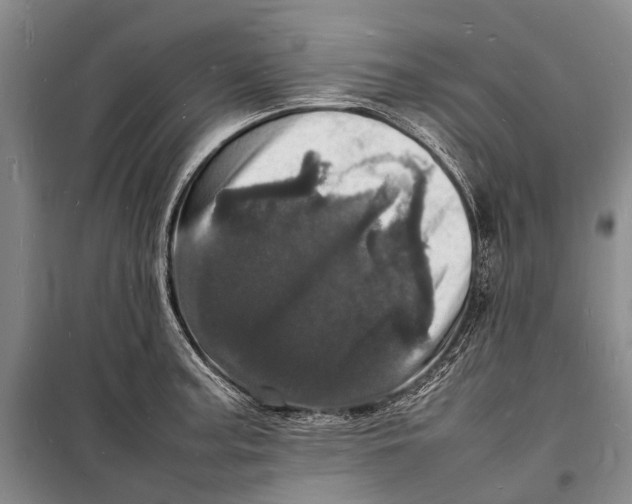 X0000098181187200805151133