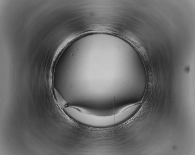 X0000098181188200805151133