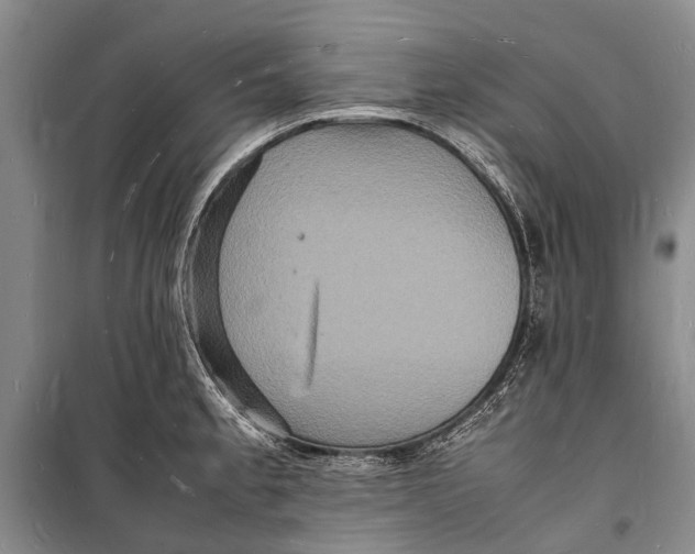 X0000098181189200805151133