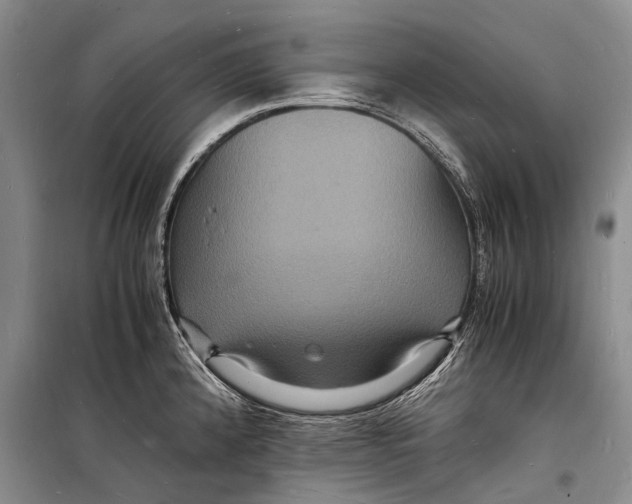 X0000098181192200805151133