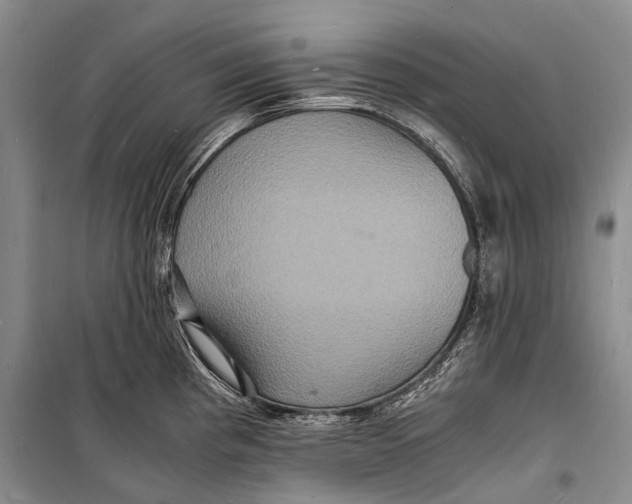 X0000098181193200805151133