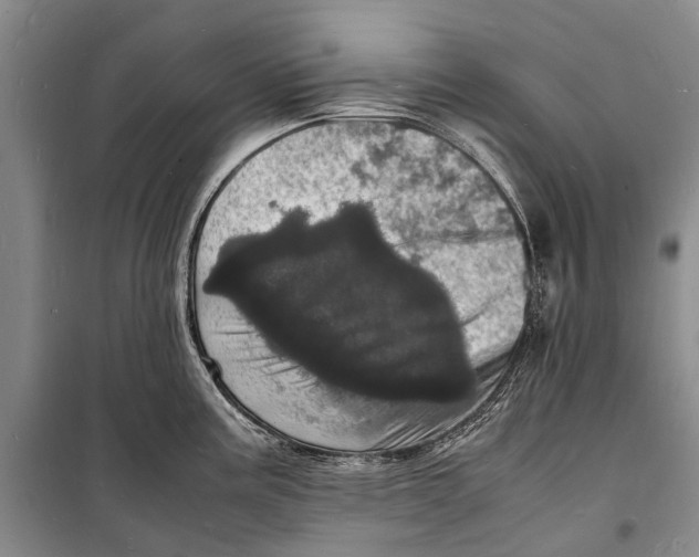 X0000098181195200805151133