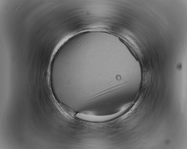 X0000098181196200805151133