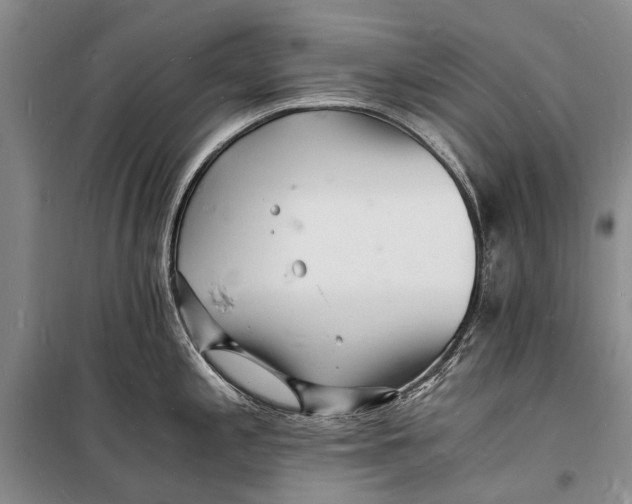 X0000098181197200805151133