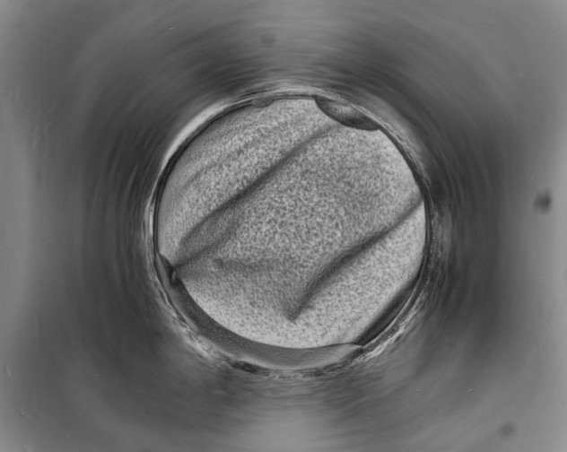 X0000098181198200805151133