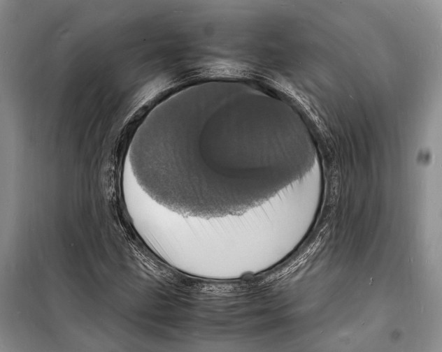 X0000098181211200805151132