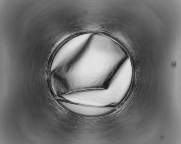 X0000098181212200805151132