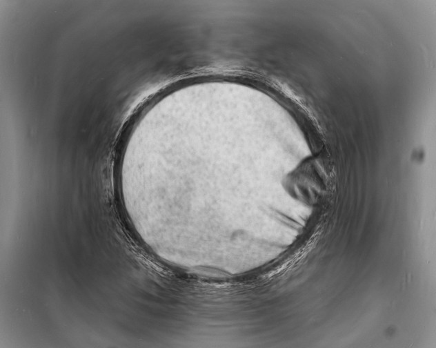 X0000098181214200805151132