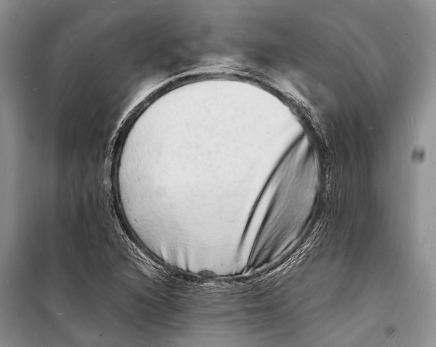 X0000098181216200805151132