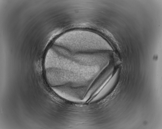 X0000098181218200805151133