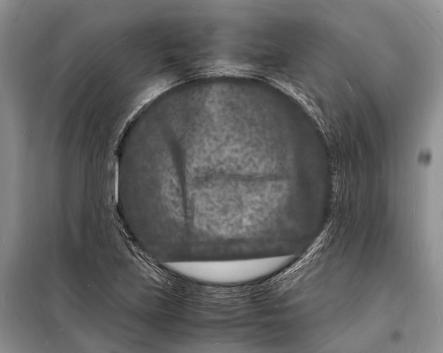 X0000098181219200805151133