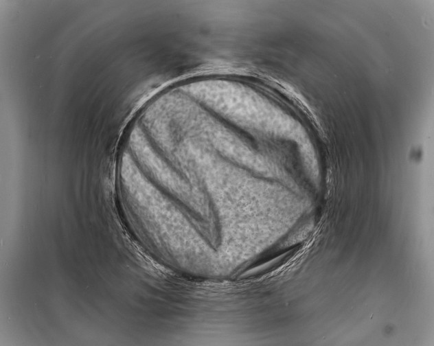 X0000098181220200805151133