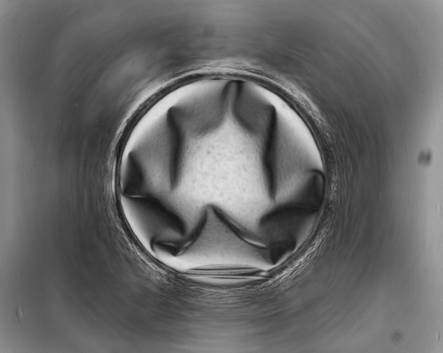 X0000098181224200805151133