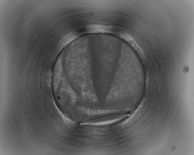 X0000098181233200805151133