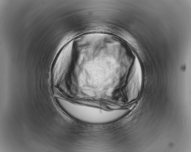 X0000098181234200805151133