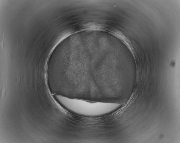 X0000098181235200805151133