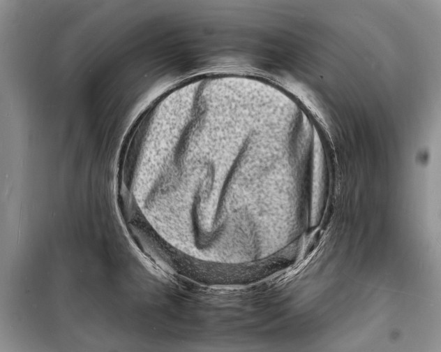 X0000098181237200805151133