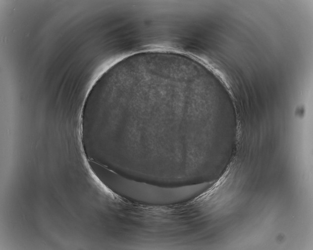 X0000098181239200805151133