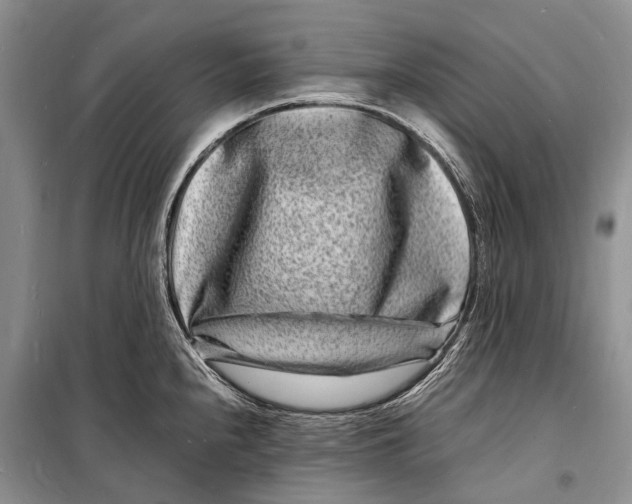 X0000098181240200805151133