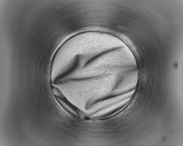 X0000098181244200805151133