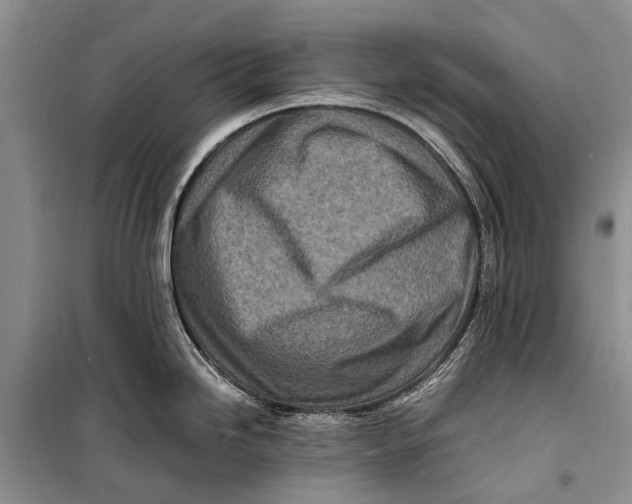 X0000098181246200805151133